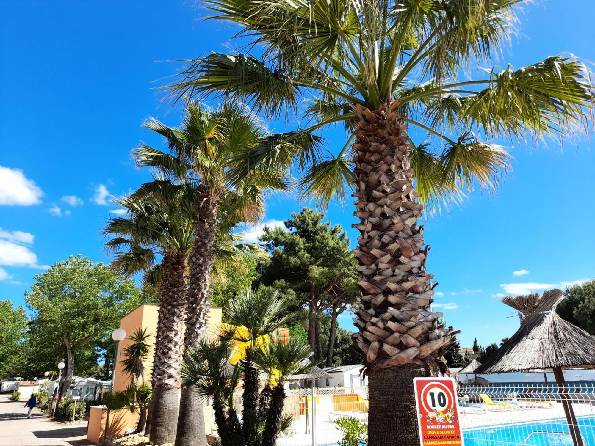 Camping Les Jardins D'Agathe - Maeva Le Grau-dʼAgde Екстериор снимка